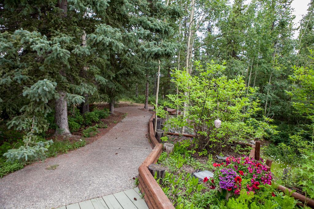 Hidden Valley Bed And Breakfast Whitehorse Extérieur photo