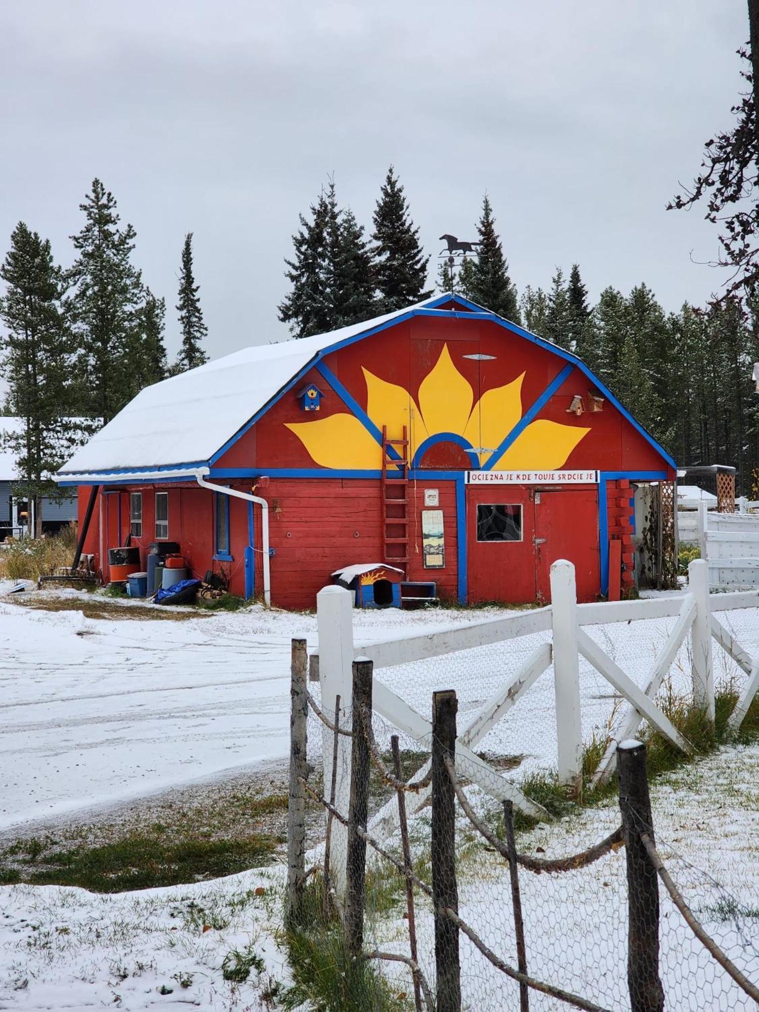 Hidden Valley Bed And Breakfast Whitehorse Extérieur photo