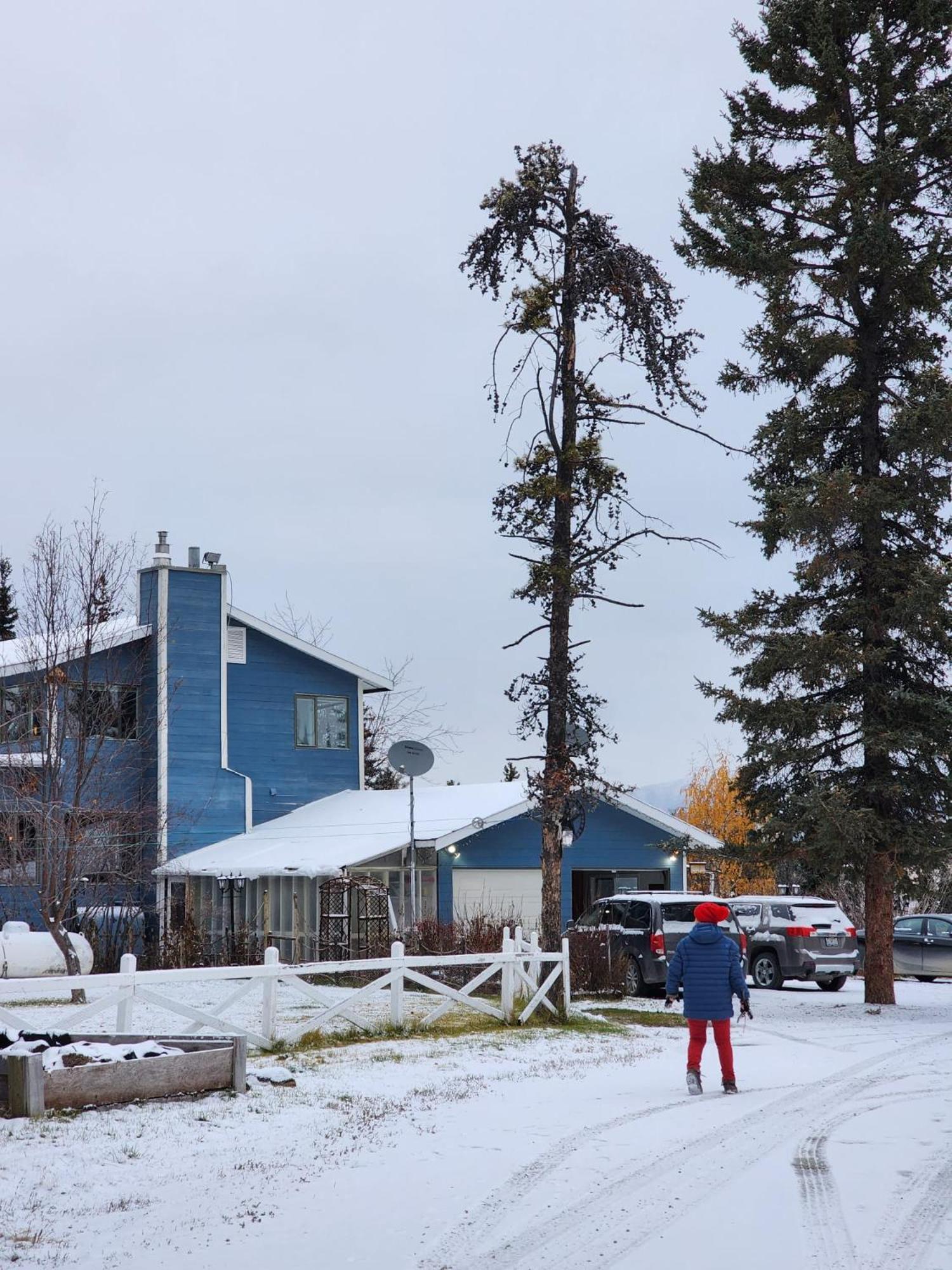Hidden Valley Bed And Breakfast Whitehorse Extérieur photo