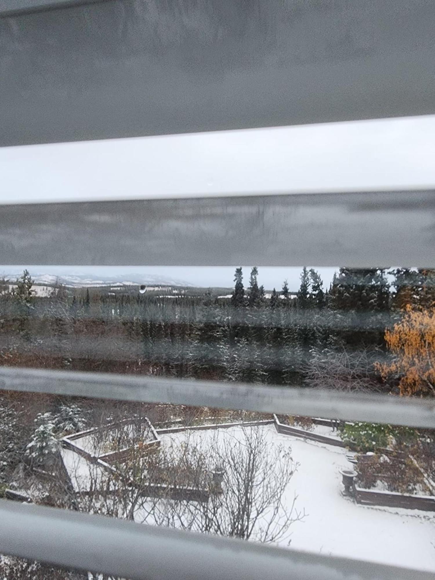 Hidden Valley Bed And Breakfast Whitehorse Extérieur photo
