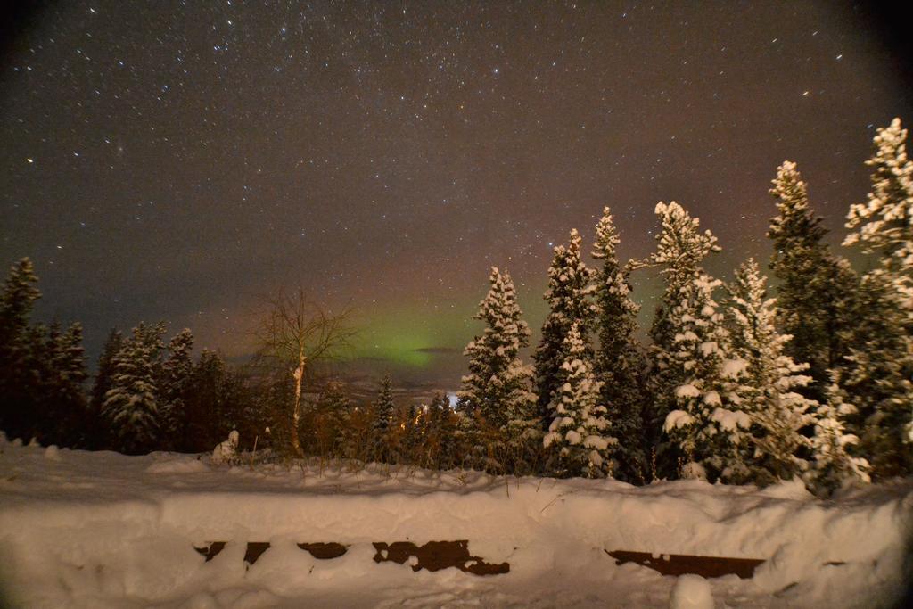 Hidden Valley Bed And Breakfast Whitehorse Extérieur photo